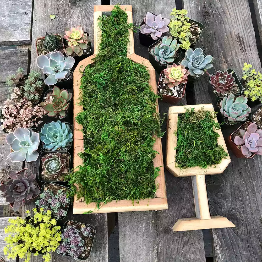 Wine bottle shaped wooden planter for moss