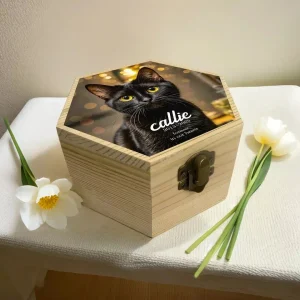 pine Wood pet urn