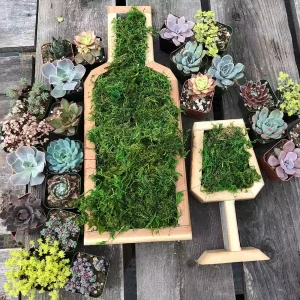 wooden bottle shaped wooden planter for moss